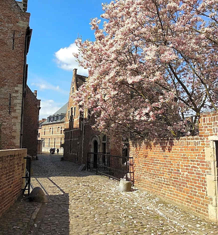 Begijnhof Hotel