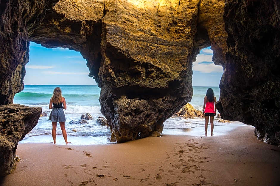 Buddha Bee - 18 to 35 years old only