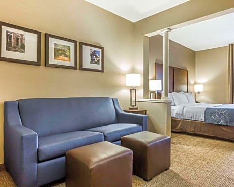 King Suite with Living Room - Non Smoking