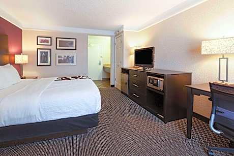 1 King Bed, Non-Smoking