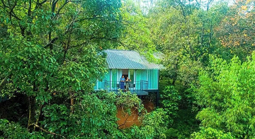 Wayanad Wild  Rainforest Lodge by CGH Earth