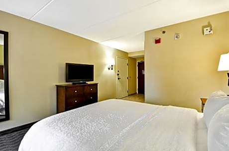 1 King Bed Nonsmoking