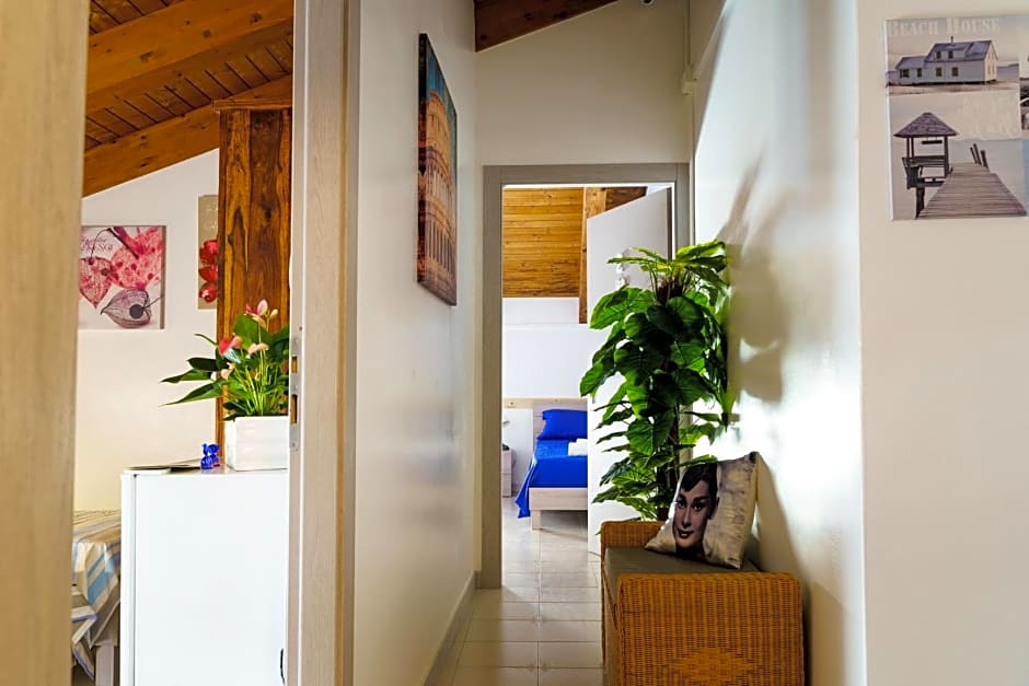 Sansi´s Sapri Camere