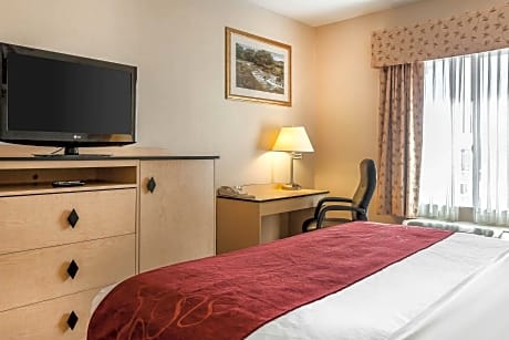 1 King Bed, Suite, Nonsmoking