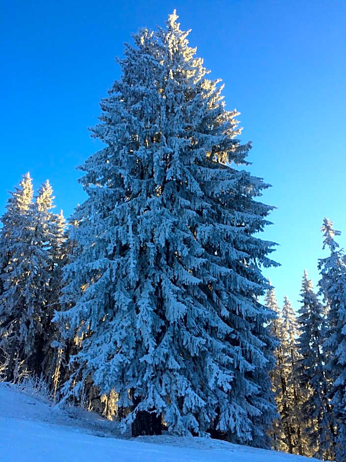 Luxury 2 Bedroom Apartment with view of Mont Blanc