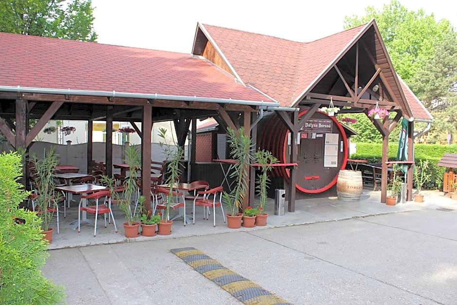 Mátyás Király Gyógy- és Wellness Hotel