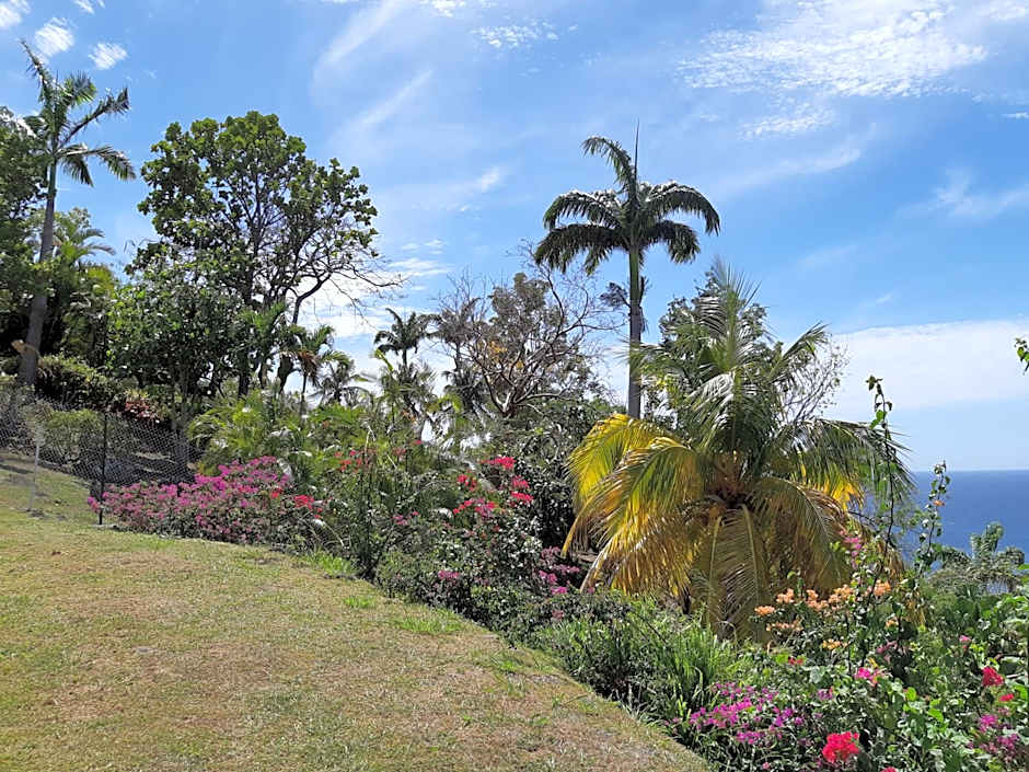 Domaine Choco Vanille