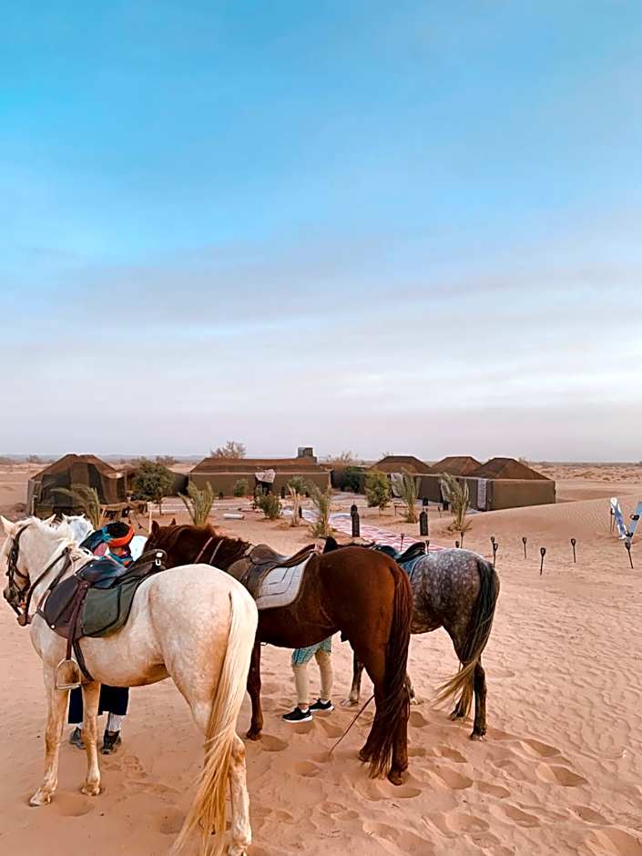 Sahara wellness camp