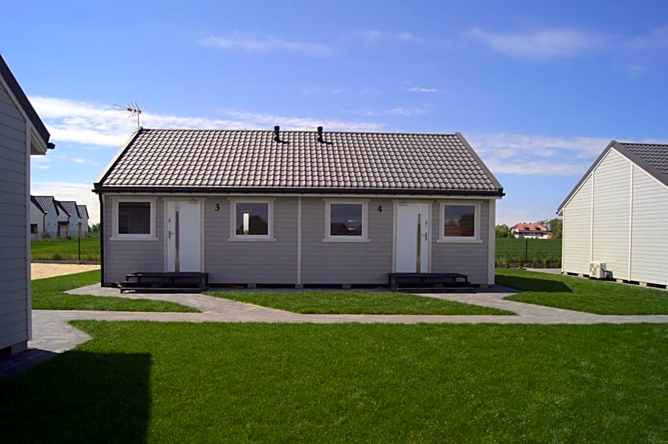 Szara Gąska w Gąskach