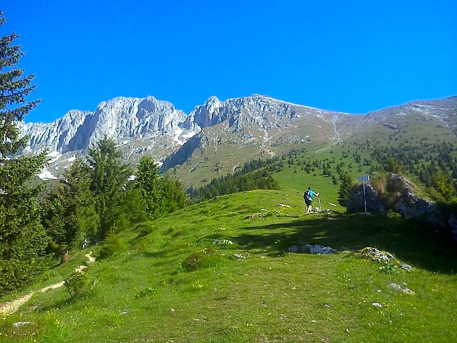 Hotel Des Alpes