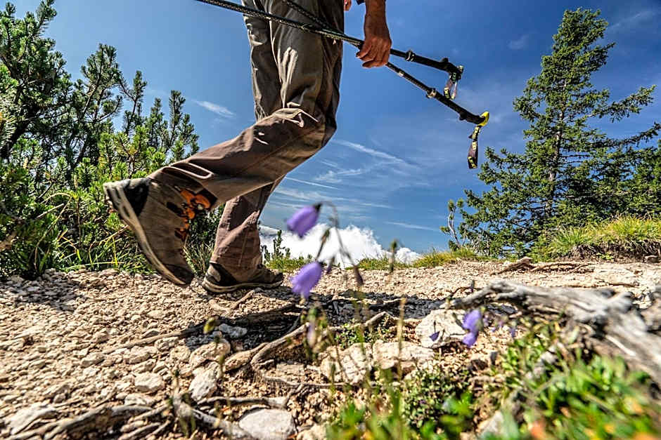 Naturel Hoteldorf Schönleitn