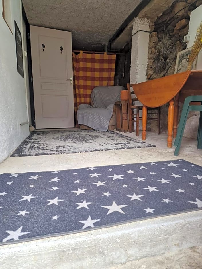 Le camélia de la mazarié