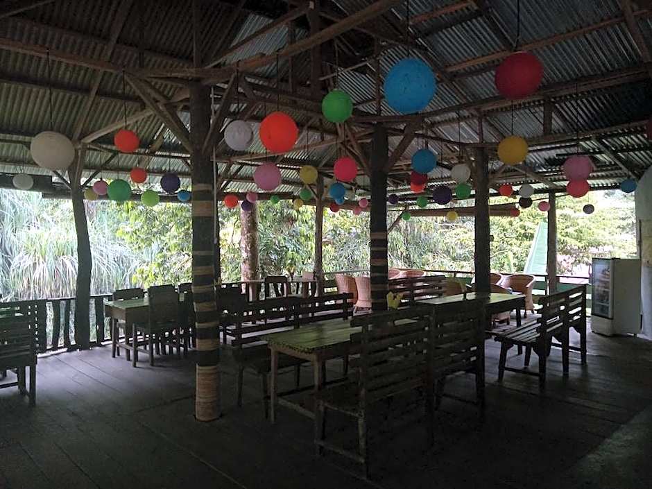 Green lodge tangkahan 