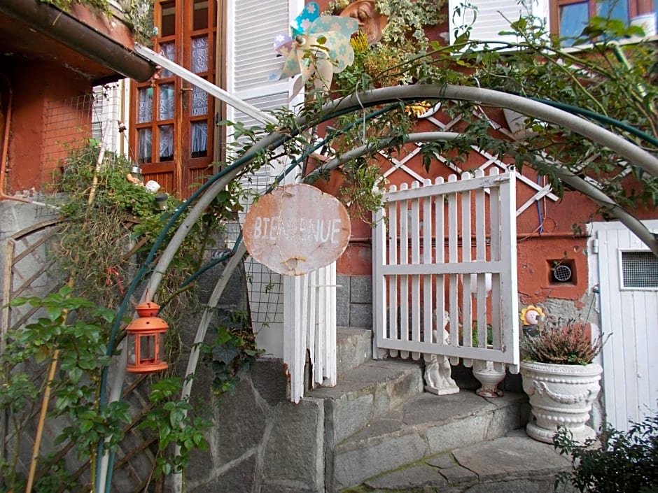 Il Granello Di Senape B&b – Palazzo Canavese, NY