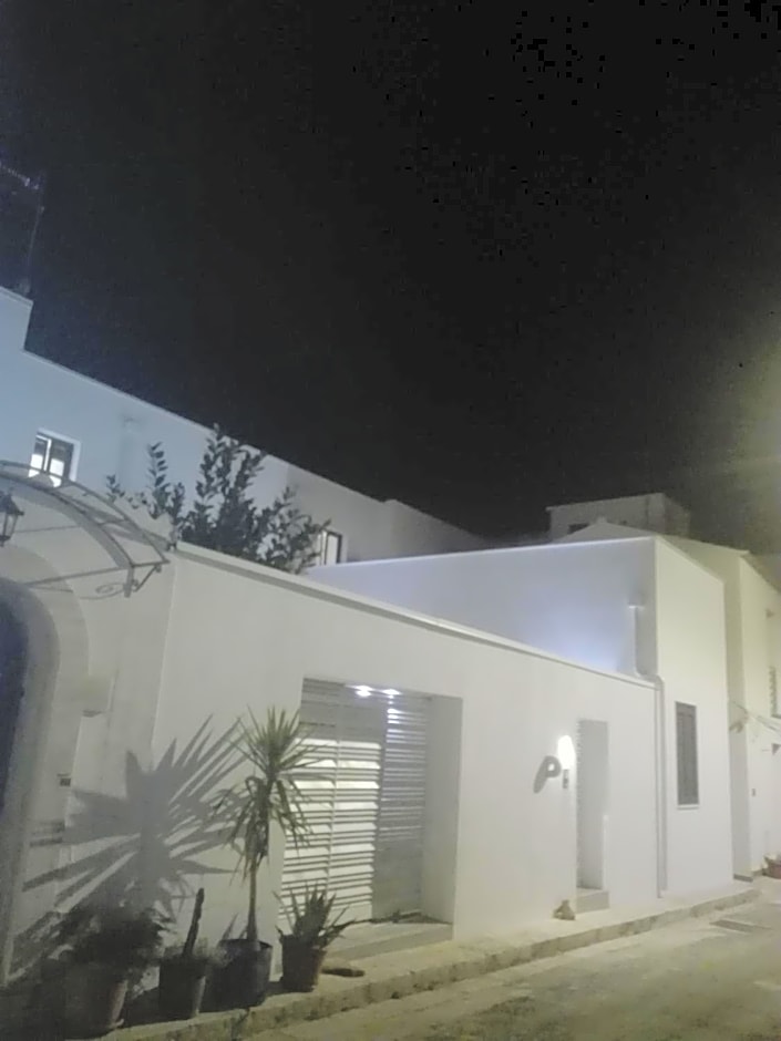 Patio 101 "Exclusive"