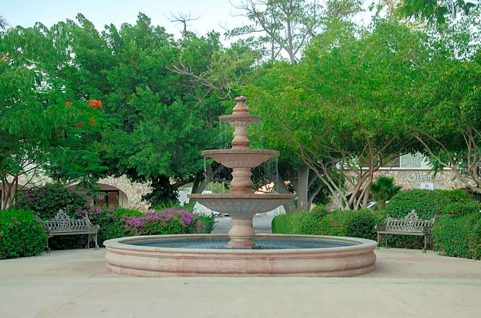 Pedregal Suites - Marina and Downtown