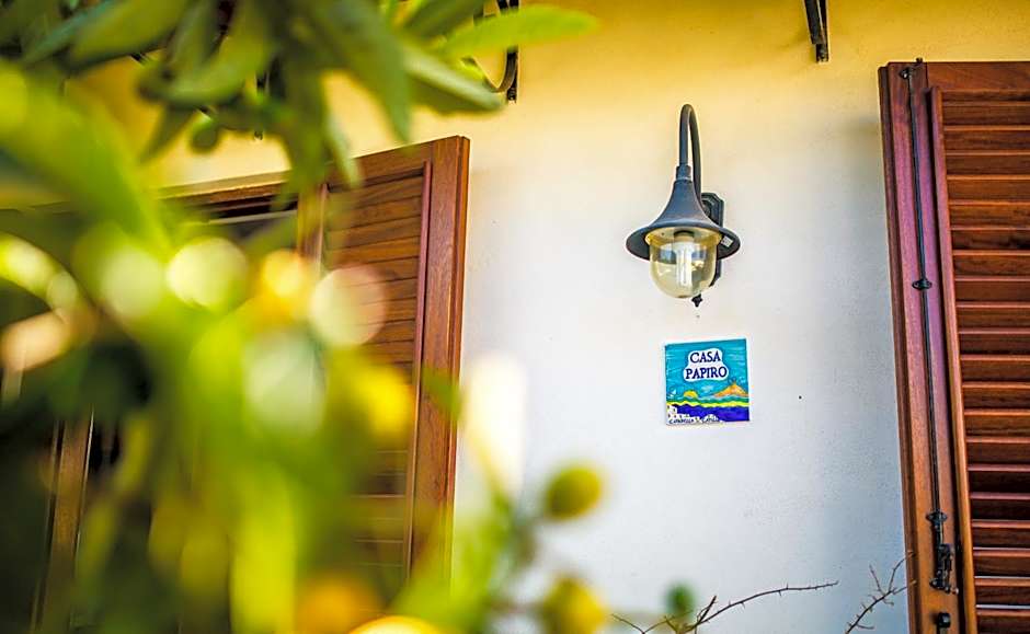 Casa Papiro
