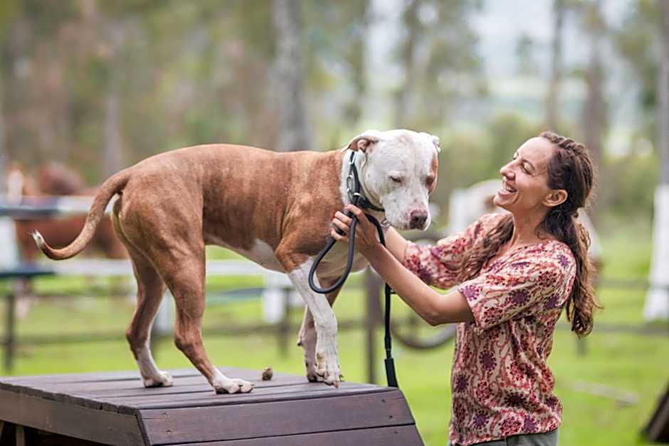 Hostería Hacienda Pinsaqui
