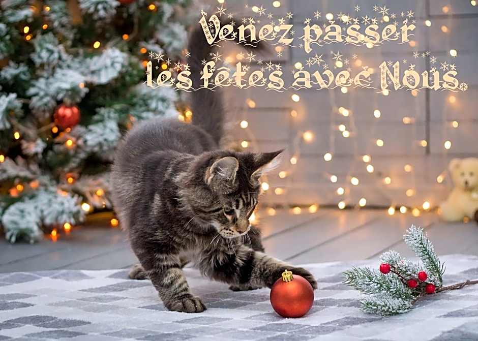 Les Iris Chambres d’hôte