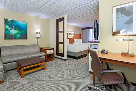 Double Room with Two Double Beds and Sofa bed - High Floor