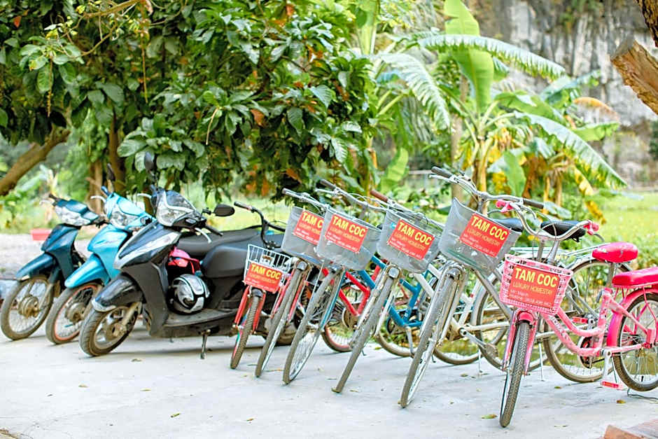 Tam Coc Luxury Homestay