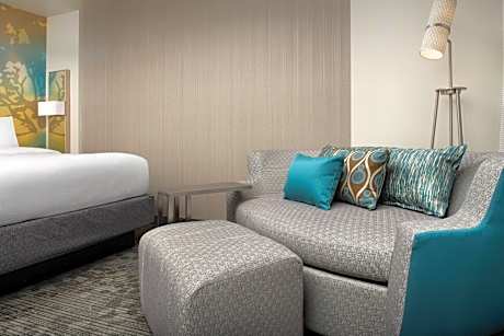Guest room, 1 King, Sofa bed