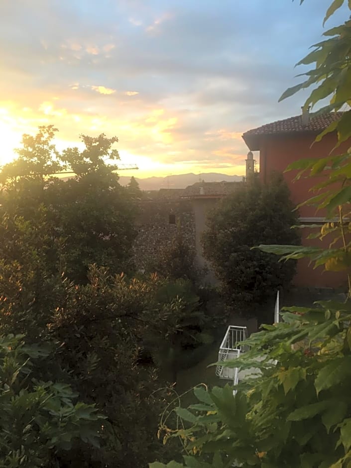 Villa House and Garden B&B