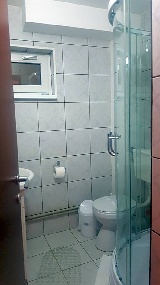 Pensiunea Aurora - Great hostel Voineasa