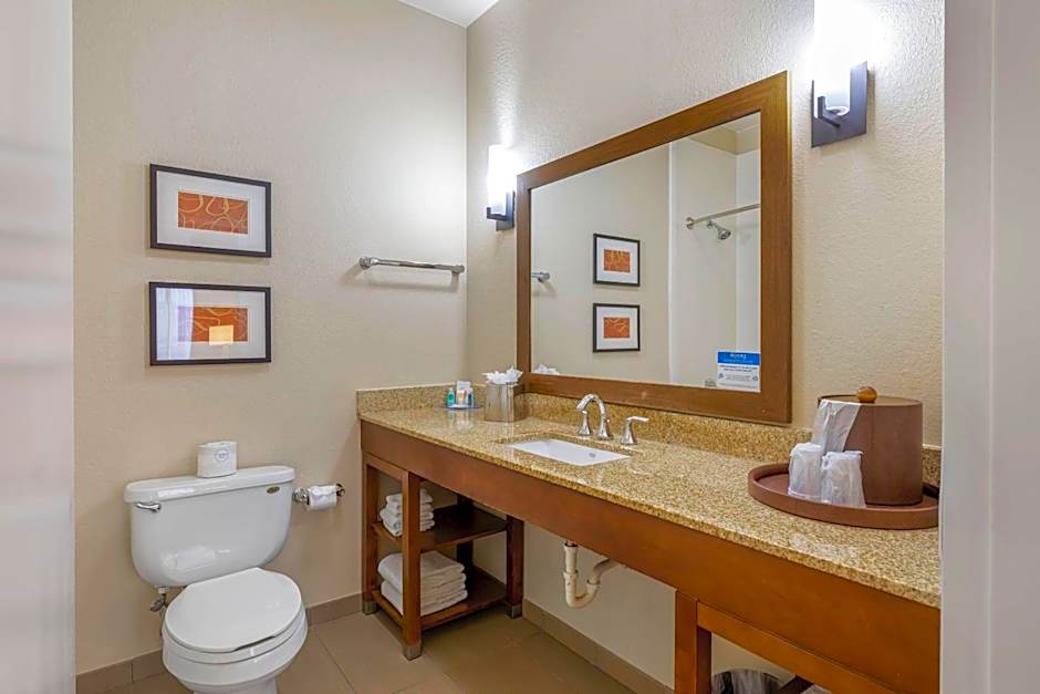 Comfort Inn Memphis Downtown