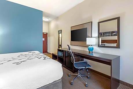 1 King Bed, Nonsmoking