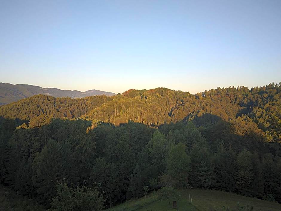 Appartement Fam.Kremser