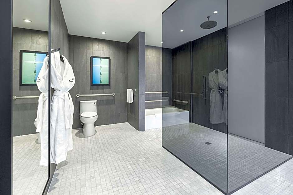 The Statler Dallas, Curio Collection By Hilton