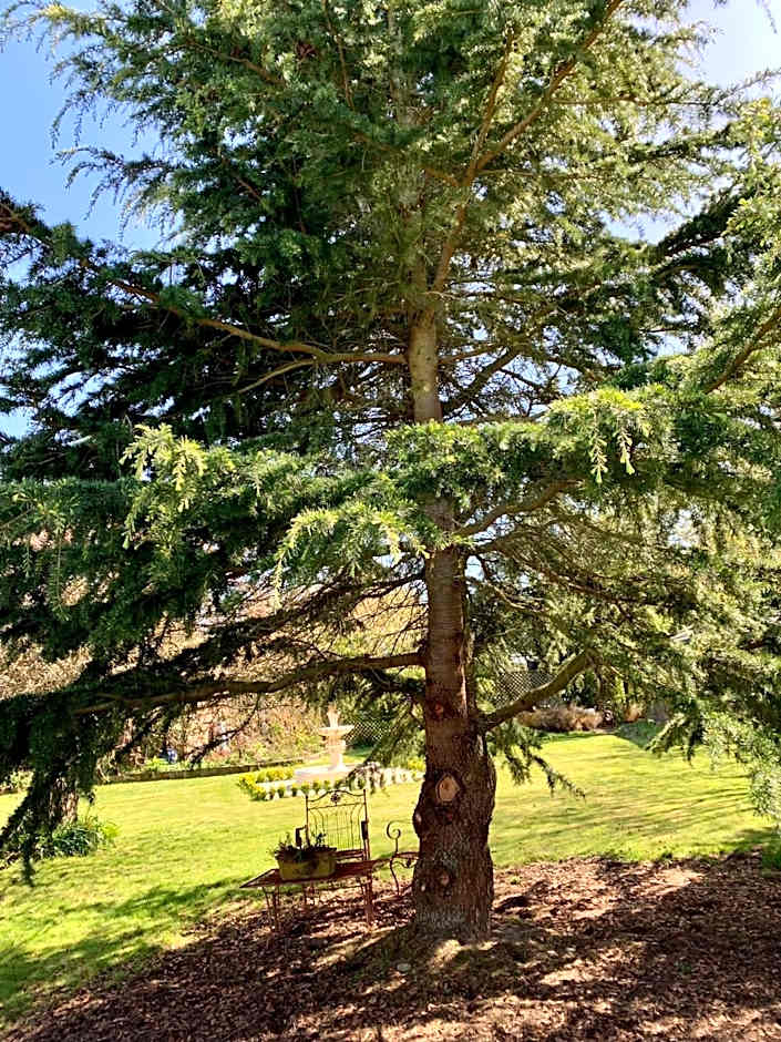 Newlands Bed and Breakfast