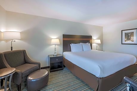 1 King Mobility Accessible Roll In Shower Desk Microwave Fridge Wifi Non-Smoking Full Breakfast