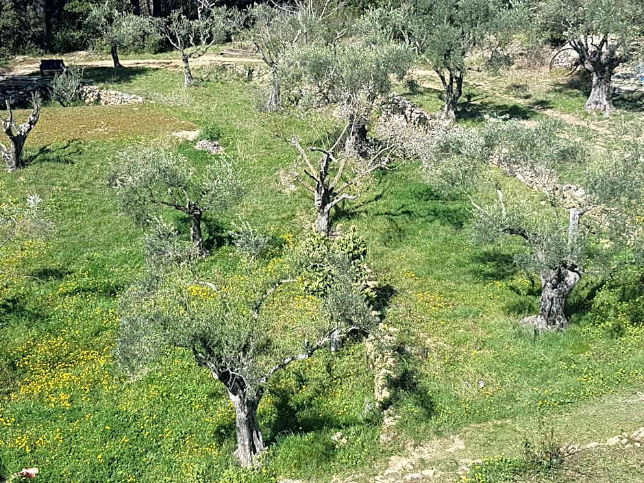 Gîtes Mas des rochers - Case bambou avec Spa