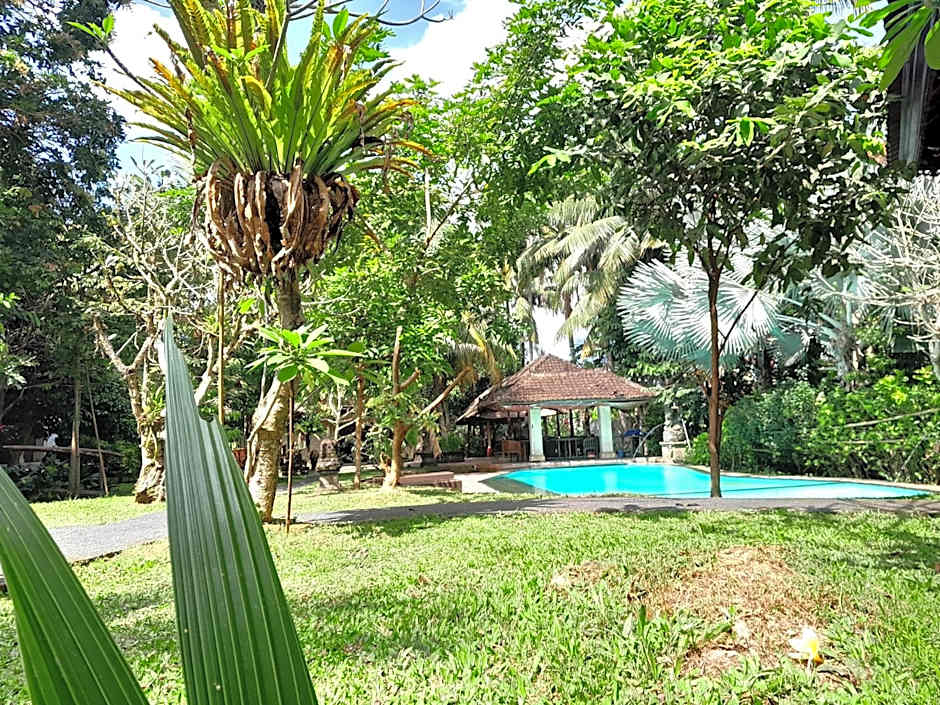 Panorama Hotel
