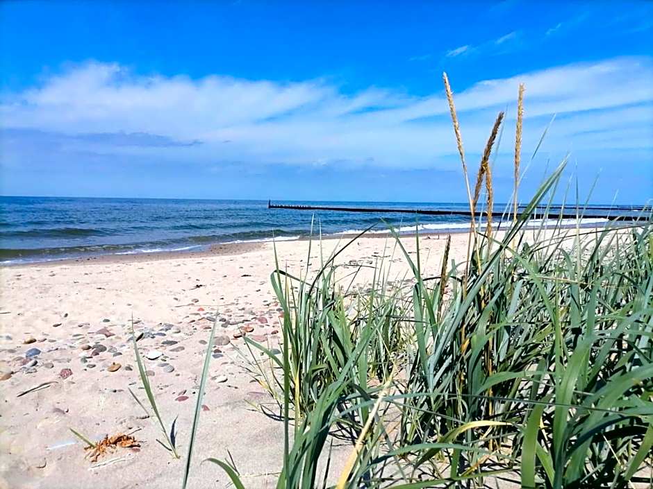 Apartamenty Domki Pokoje WeMa Wicie