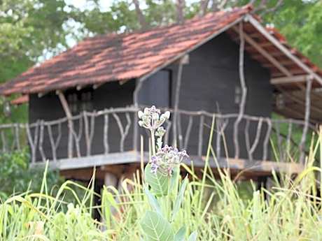 Eagle's Wings Guest House