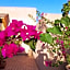 Riad Miral