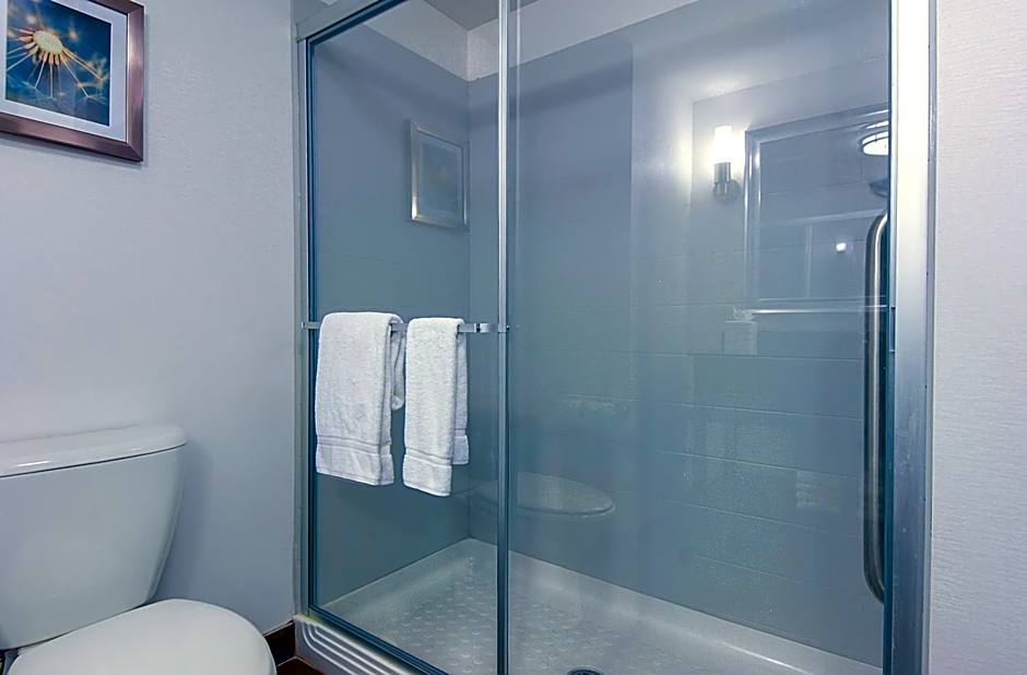 Holiday Inn Express Hotel & Suites Carlsbad Beach By IHG