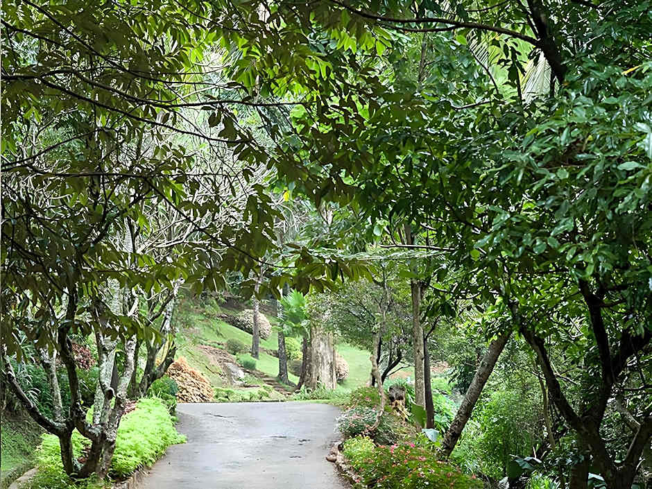 Hanthana Boutique Villa by Amaya