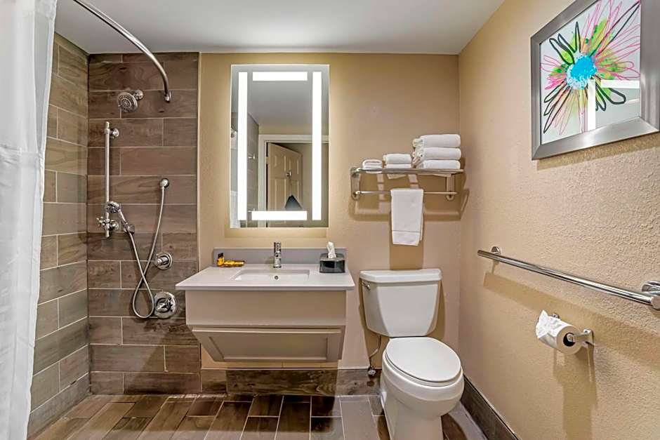 Best Western Plus Greenville I-385 Inn & Suites