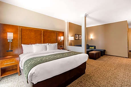 King Suite with Spa Bath - Non-Smoking