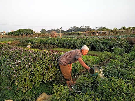 Farm tour, homestay & cooking class in Hanoi