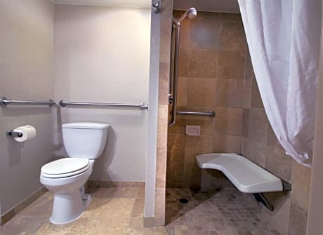 Queen Room with Roll-In Shower - Mobility Access/Non-Smoking