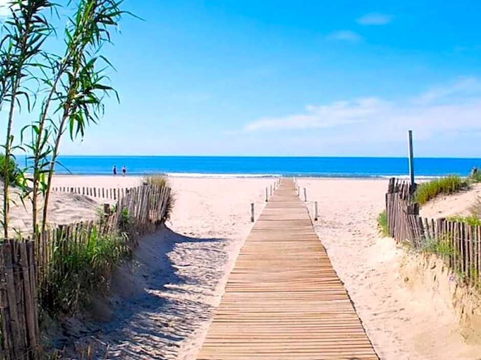 Le Castellas du Pic St Loup