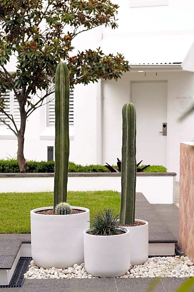 Adina Apartment Hotel Sydney Chippendale