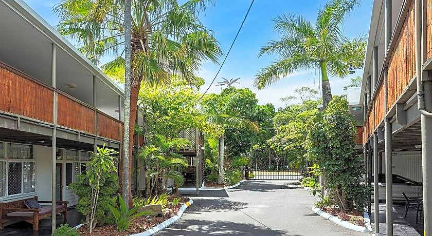 Coconut Palms on the Bay