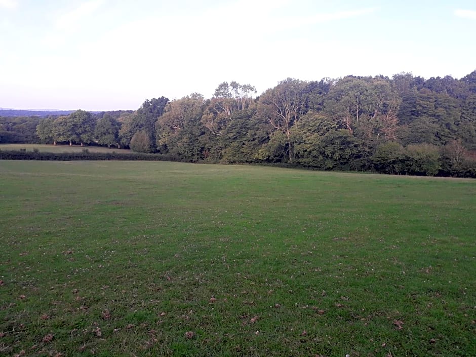 Moaps Farm B&B support small business, welcome, check in from 5 pm