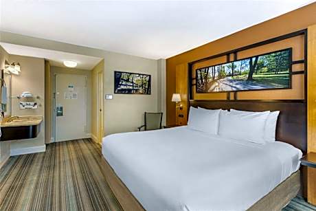 King Room - Non-Smoking